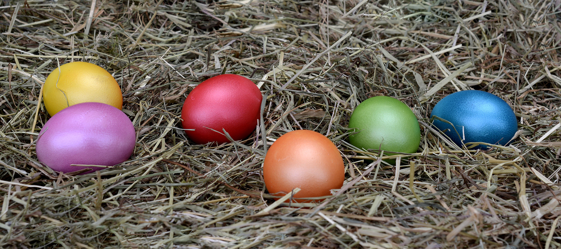Hopewell Museum Easter Egg Hunt Egg Decorating Contest