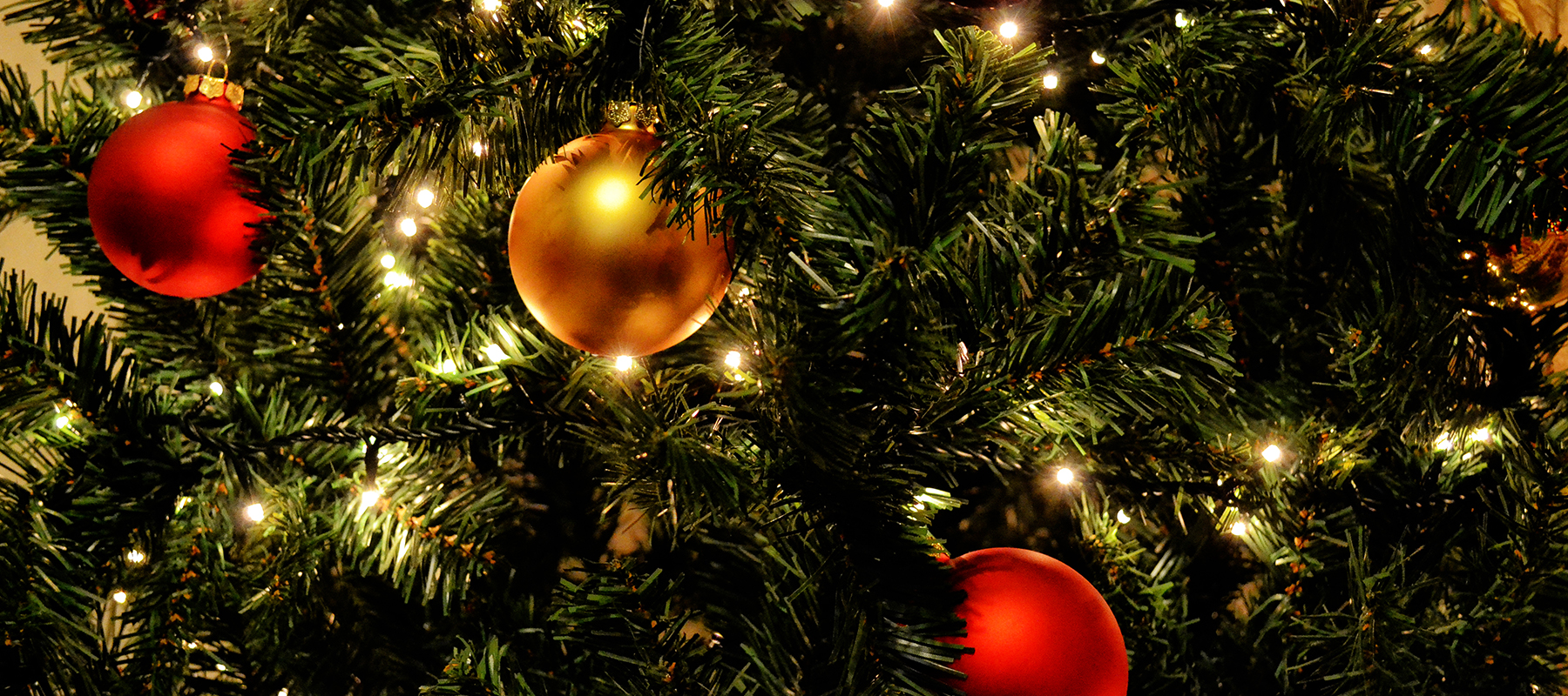 Holiday Party & Annual Meeting for Museum Members